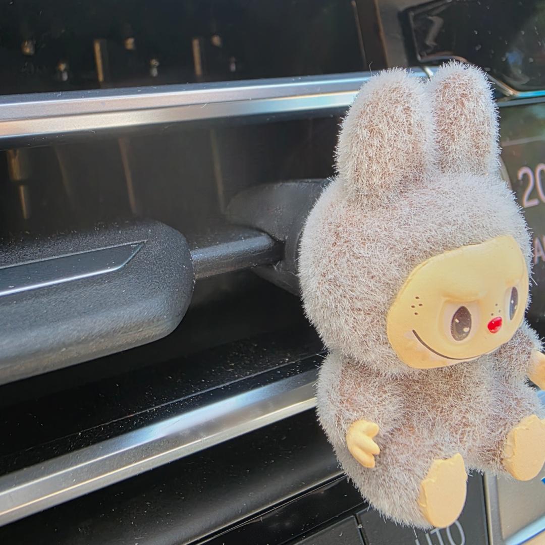 Labubu The Monsters soft short fur Bean! one-of-a-kind handmade pen!